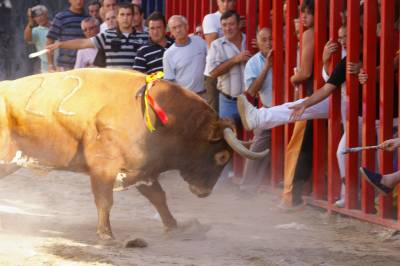 Fotografia /Gallery/9132_5053/3_M1.jpg