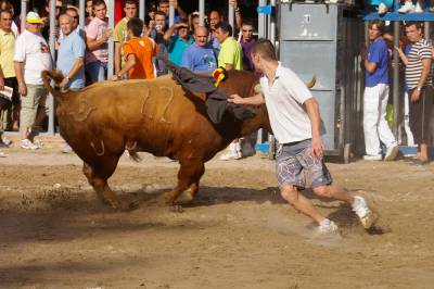 Fotografia /Gallery/9132_5053/4_M1.jpg