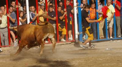 Fotografia /Gallery/9132_5053/5_M1.jpg