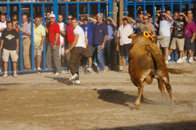 Fotografia /Gallery/9132_5053/6_M1.jpg