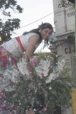 El Club 53 logra el primer premio de la Batalla de Flores.