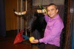 Los mejores toros, los de Las Cervecitas, El Bou, L'Alternativa y Amics del Bou