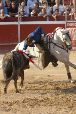 Pablo Hermoso de mendoza rejoneador. 