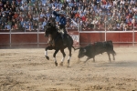 Pablo Hermoso de mendoza rejoneador. 
