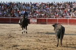 Pablo Hermoso de mendoza rejoneador. 