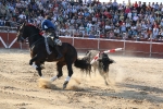 Pablo Hermoso de mendoza rejoneador. 