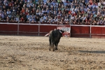 Pablo Hermoso de mendoza rejoneador. 