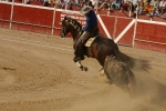 Pablo Hermoso de mendoza rejoneador. 