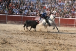 Pablo Hermoso de mendoza rejoneador. 