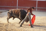 Errique Ponce.
