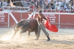 Errique Ponce.