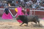 Errique Ponce.