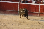 El Cid.