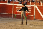 El Fandi.