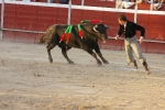 El Fandi.
