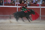 El Fandi.