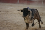 Perera.