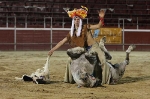 La Plaza de toros portátil acogió un festival de Doma Natural
