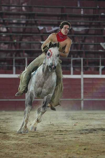 Fotografia /Gallery/9727_5323/5_M1.jpg