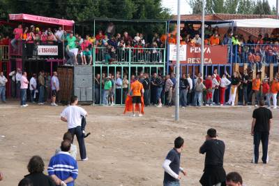 Fotografia /Gallery/9813_5374/2_M1.jpg