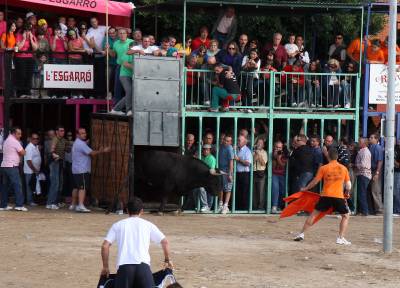 Fotografia /Gallery/9813_5374/3_M1.jpg