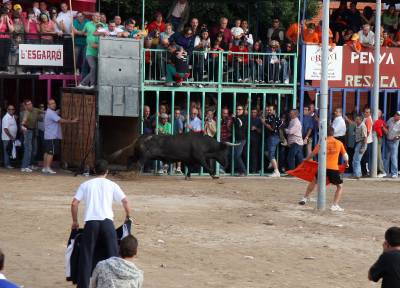 Fotografia /Gallery/9813_5374/4_M1.jpg