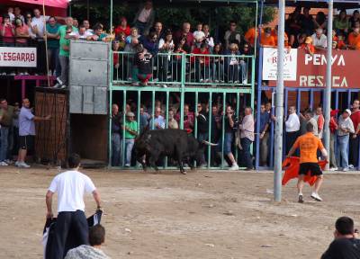 Fotografia /Gallery/9813_5374/5_M1.jpg