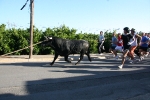 El tradicional 'bou en corda' agotó a todos