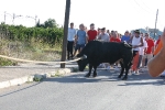 El tradicional 'bou en corda' agotó a todos