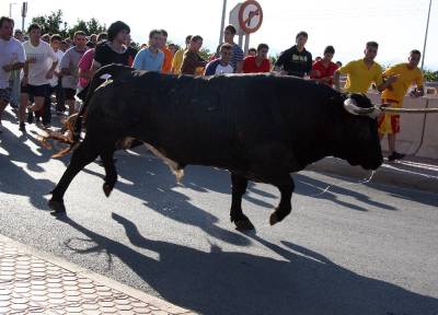 Fotografia /Gallery/9857_5407/2_M1.jpg