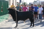 El tradicional 'bou en corda' agotó a todos