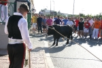 El tradicional 'bou en corda' agotó a todos