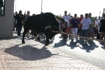 El tradicional 'bou en corda' agotó a todos