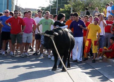 Fotografia /Gallery/9857_5407/5_M1.jpg