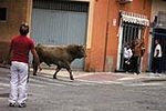 Dos toros de la ganaderia del Castell, cubrieron los actos taurinos de ayer