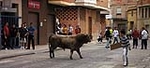 Dos toros de la ganaderia del Castell, cubrieron los actos taurinos de ayer