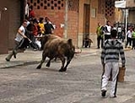 Dos toros de la ganaderia del Castell, cubrieron los actos taurinos de ayer