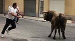 Dos toros de la ganaderia del Castell, cubrieron los actos taurinos de ayer