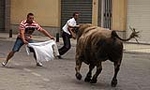 Dos toros de la ganaderia del Castell, cubrieron los actos taurinos de ayer