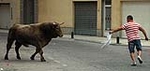 Dos toros de la ganaderia del Castell, cubrieron los actos taurinos de ayer