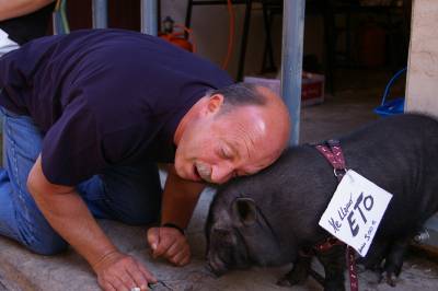 Fotografia /Gallery/9858_5426/2_M1.jpg