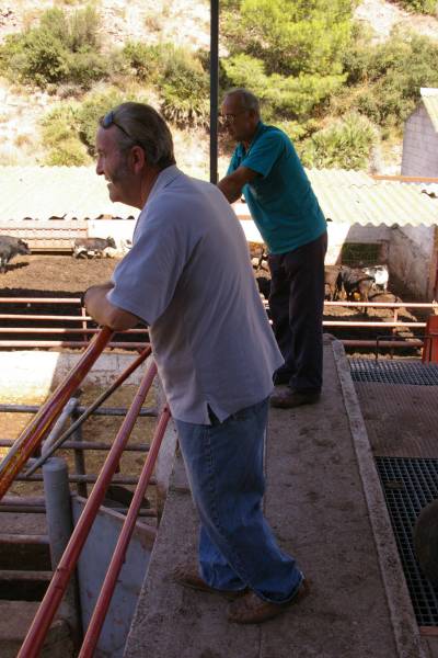 Fotografia /Gallery/9858_5426/5_M1.jpg