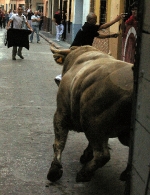 Dos toros de la ganaderia del Castell, cubrieron los actos taurinos de ayer