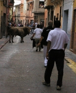 Dos toros de la ganaderia del Castell, cubrieron los actos taurinos de ayer