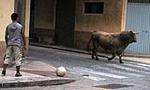 Dos toros de la ganaderia del Castell, cubrieron los actos taurinos de ayer