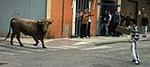 Dos toros de la ganaderia del Castell, cubrieron los actos taurinos de ayer