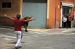 Dos toros de la ganaderia del Castell, cubrieron los actos taurinos de ayer