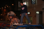 Toro enbolado hecce homo.