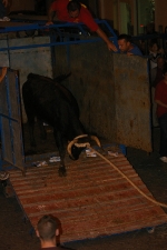 Toro enbolado hecce homo.