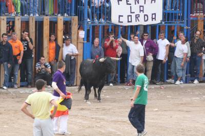 Fotografia /Gallery/9895_5428/6_M1.jpg